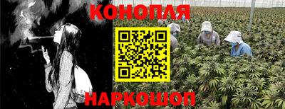 амф Славгород