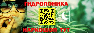 молекула духа Сланцы
