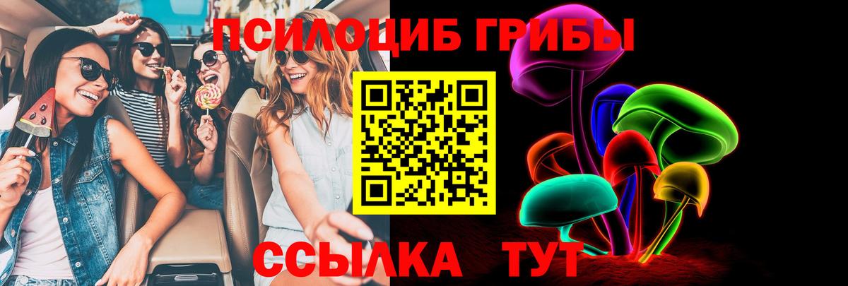 где купить   Псилоцибиновые грибы Magic Shrooms  Вход с VPN  Новоуральск 