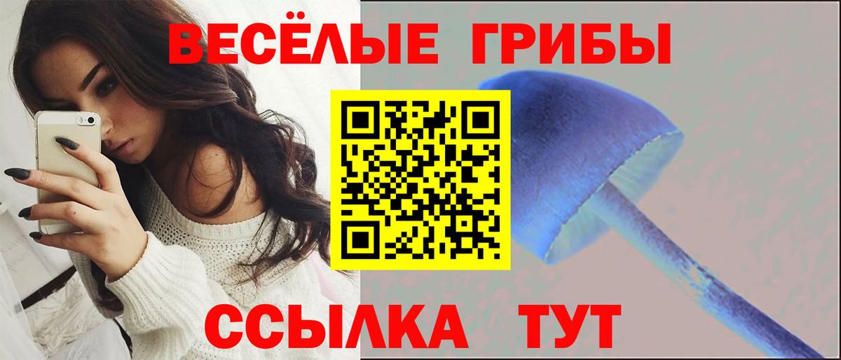 Галлюциногенные грибы GOLDEN TEACHER Новоуральск